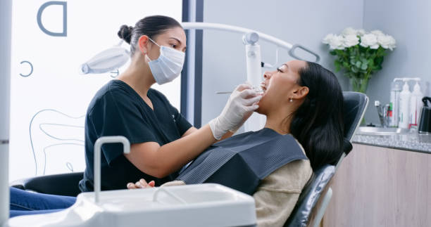 Best Dental Exams and Cleanings  in Oak Harbor, OH